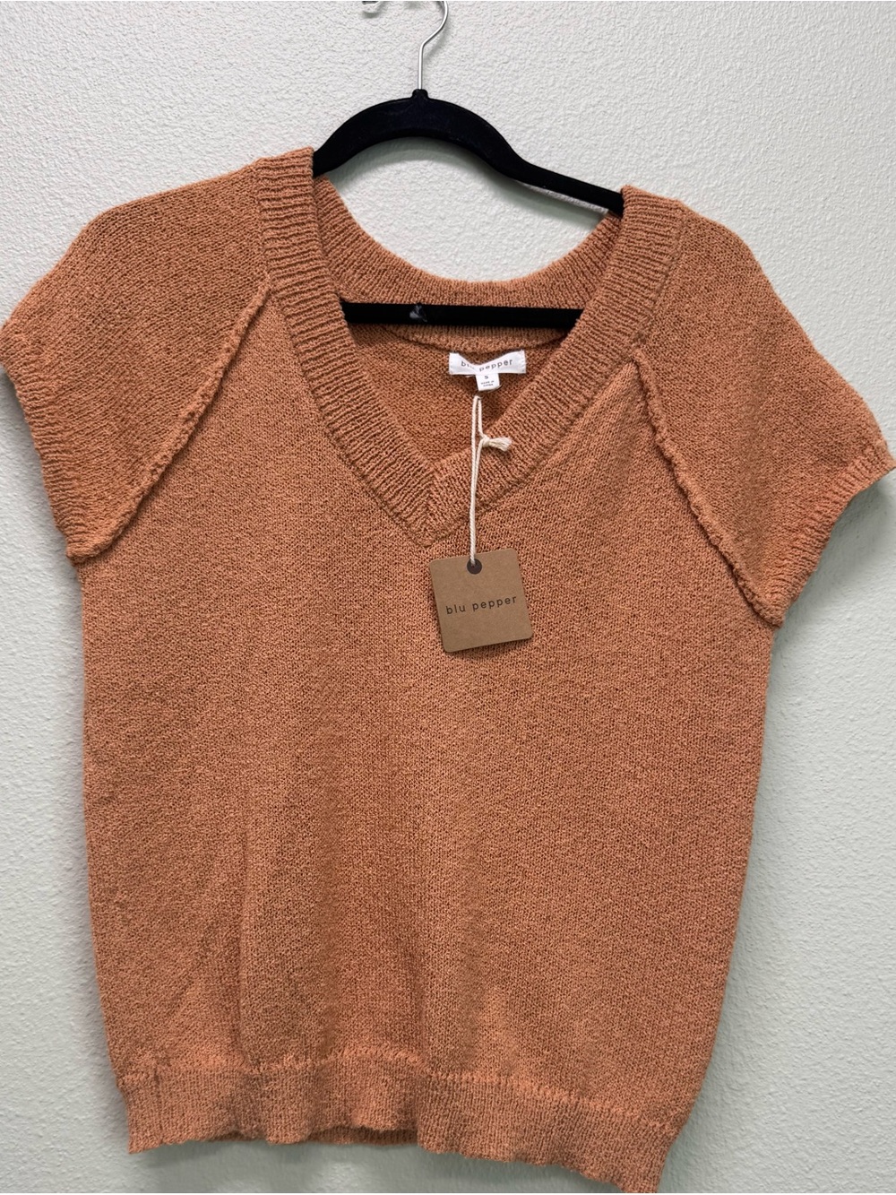 NWT Blu Pepper Short Sleeve V-Neck Sweater in Rust Orange, Multiple Sizes
